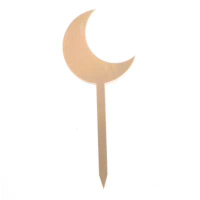 Shine like a Moon golden cake toppers