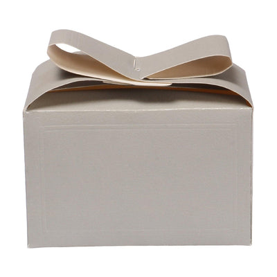 Silver Small gift box with Bow Lock style